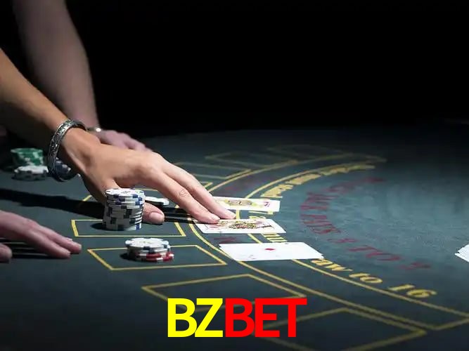 BZBET Curitiba - Statistics